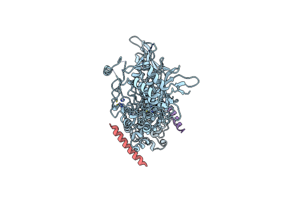 5B16 image