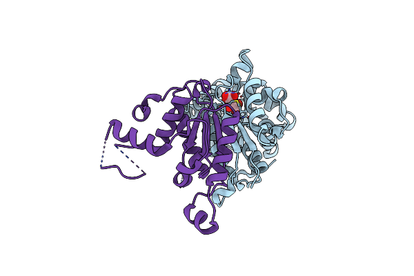 5B19 image