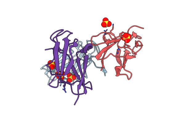 5B1C image