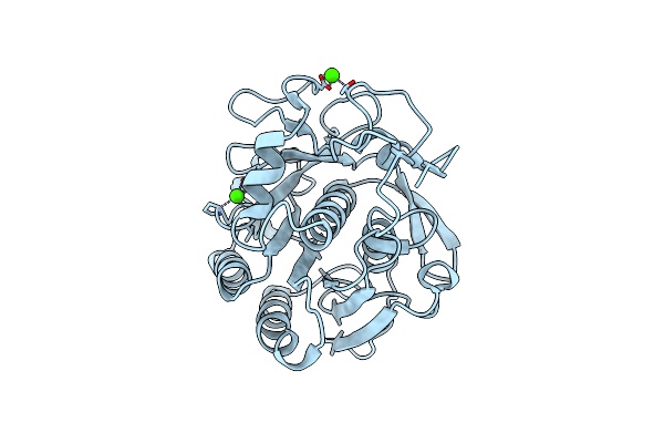 5B1D image