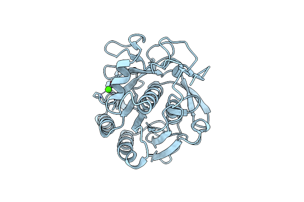 5B1E image