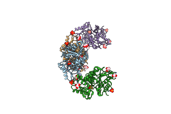 5B1H image