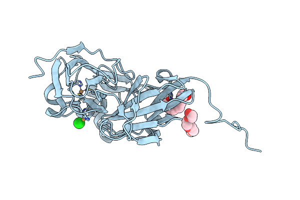 5B1K image