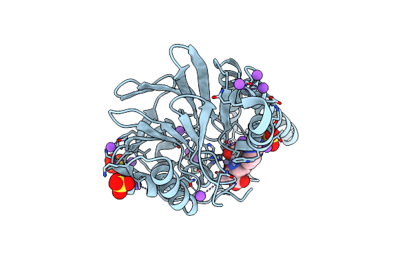 5B1U image
