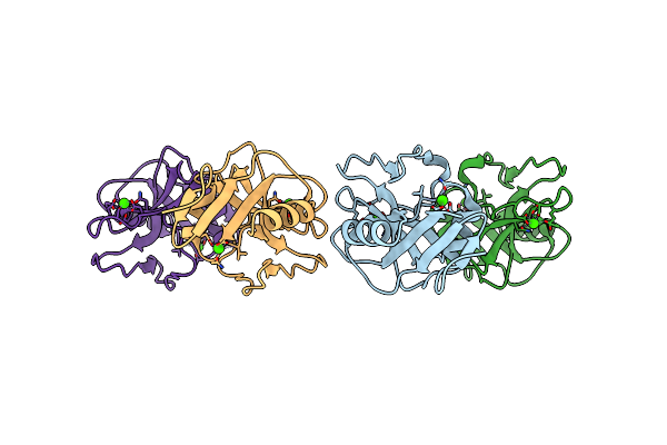 5B1W image