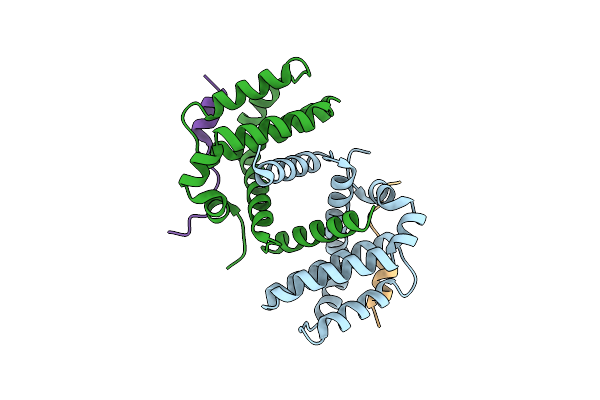 5B1Z image