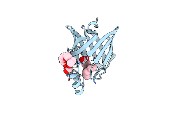 5B28 image