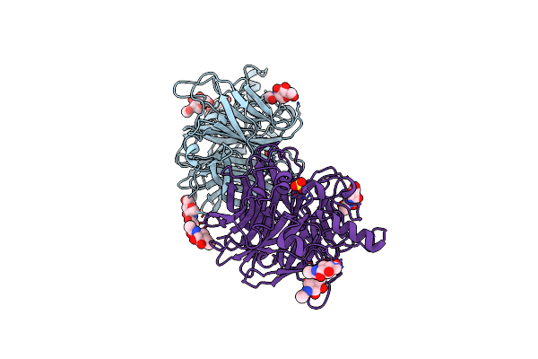 5B2C image
