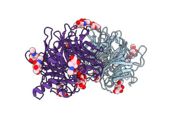 5B2D image