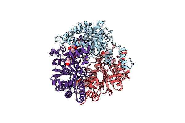 5B2E image
