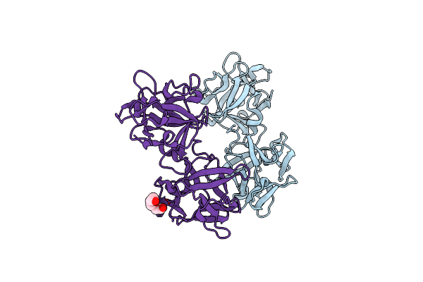 5B2H image