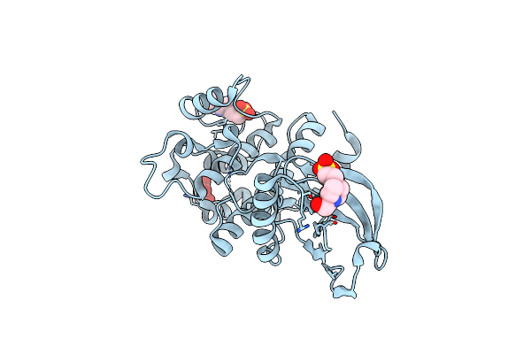 5B2L image