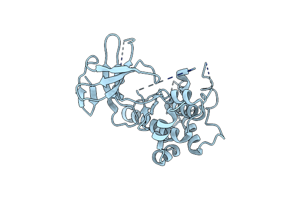 5B2M image