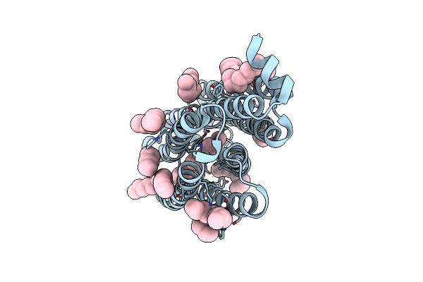 5B2N image