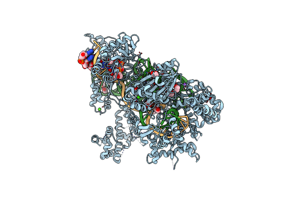 5B2O image