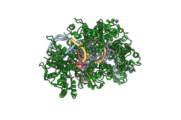 5B2S image
