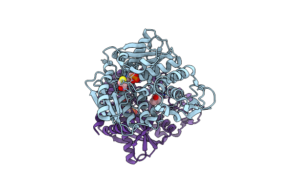 5B36 image