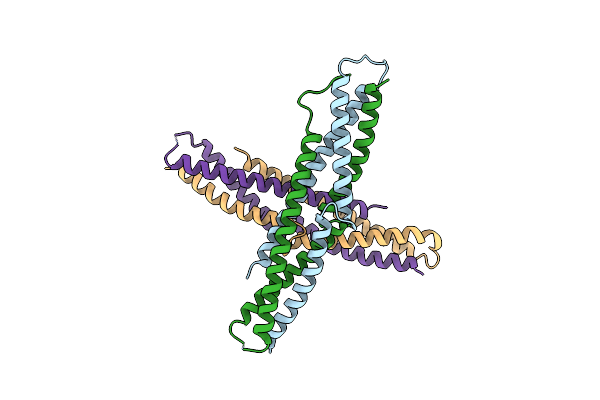 5B3D image