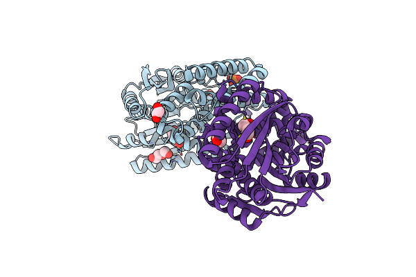 5B3G image