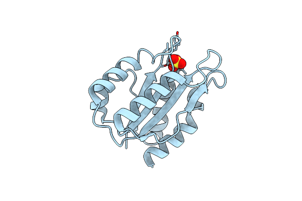 5B3L image