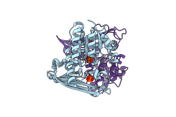 5B3T image