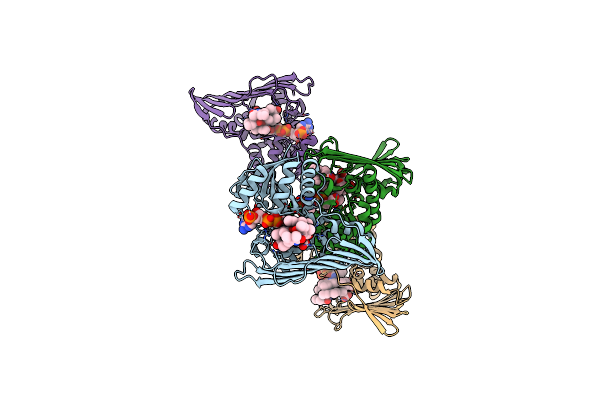 5B3V image