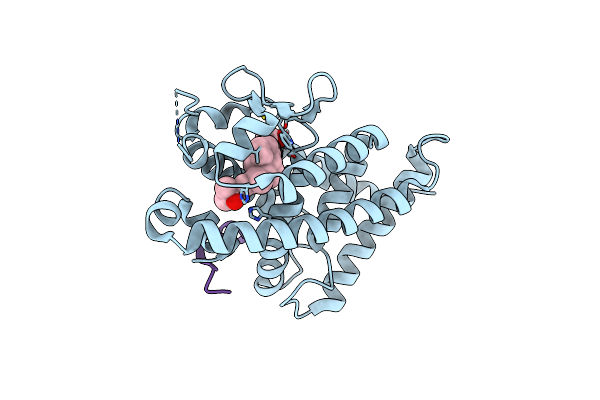 5B41 image