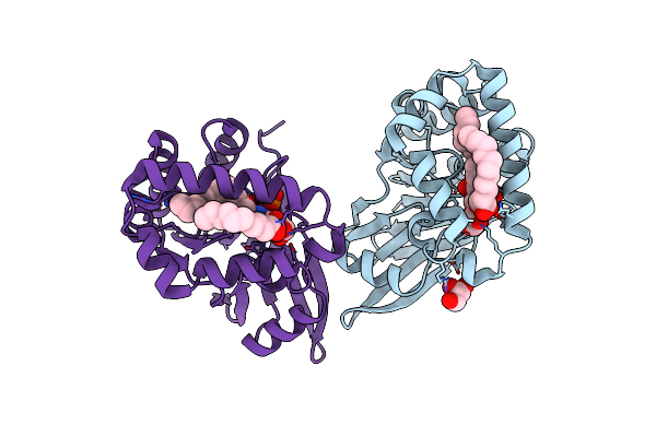 5B4B image