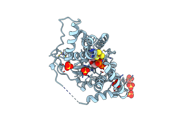 5B4E image