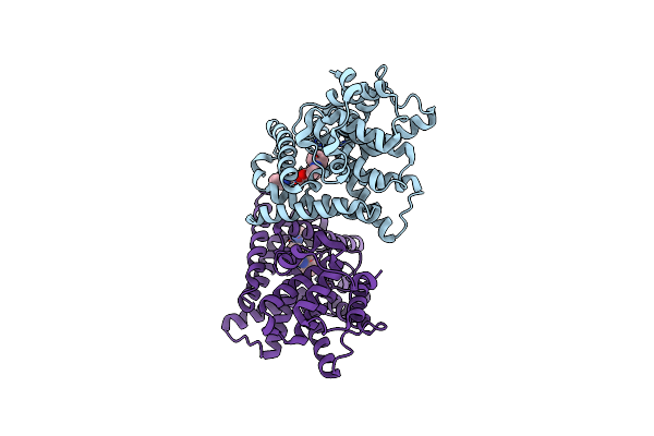 5B4L image