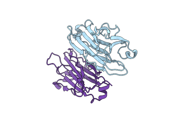 5B4N image