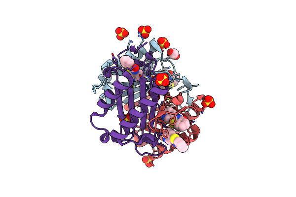 5B4O image