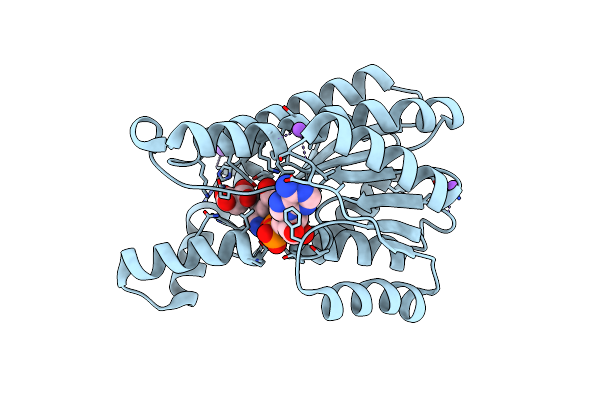 5B4V image
