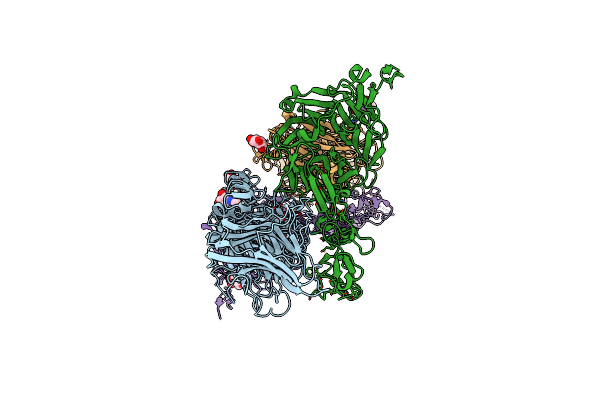 5B4X image