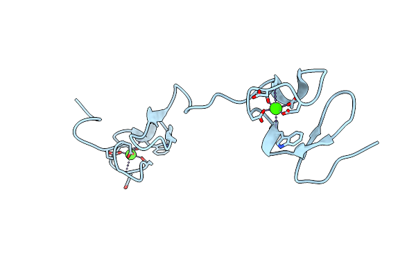 5B4Y image
