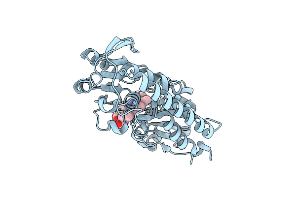 5B4Z image