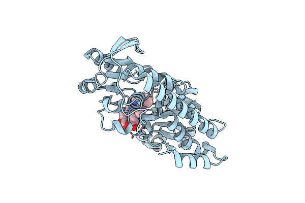 5B50 image