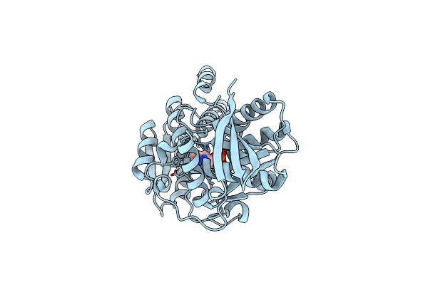 5B53 image