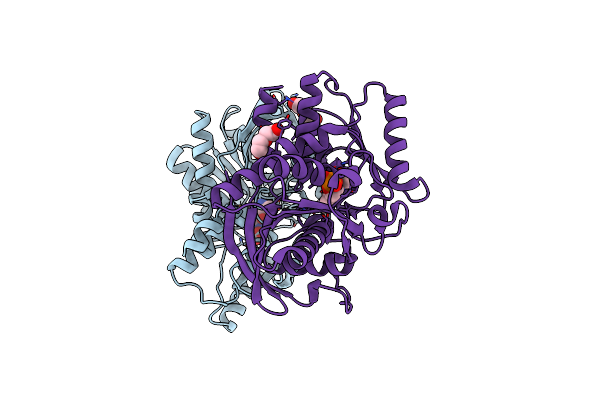5B55 image