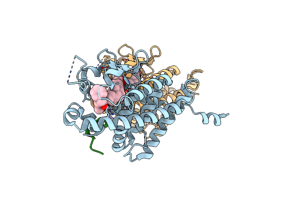 5B5B image