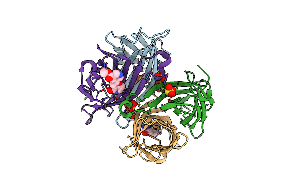 5B5G image
