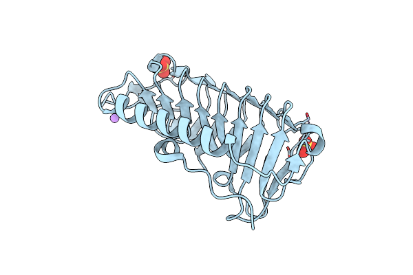 5B5H image