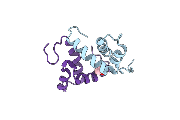 5B5I image