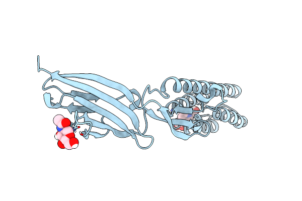 5B5K image