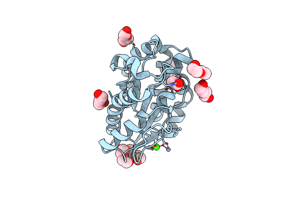 5B5L image