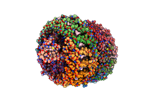 5B5N image