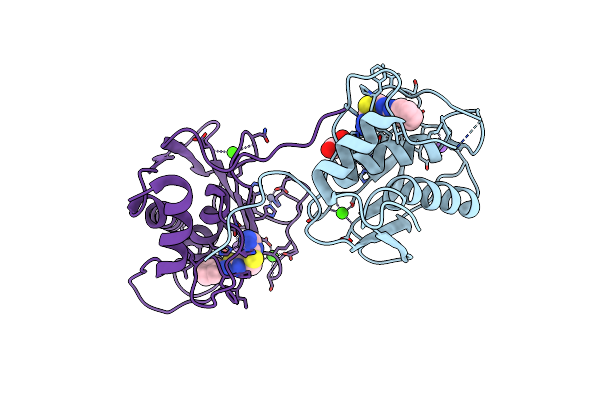 5B5O image