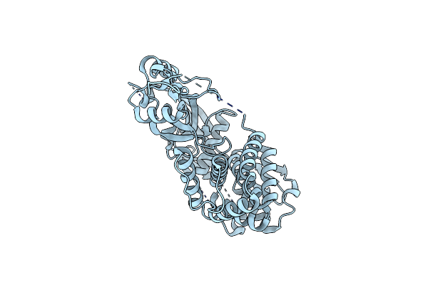 5B5R image