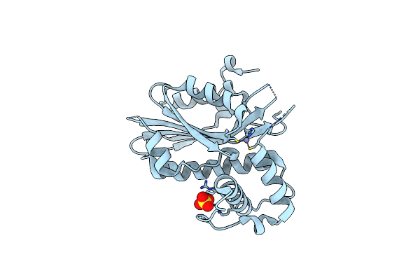 5B5X image
