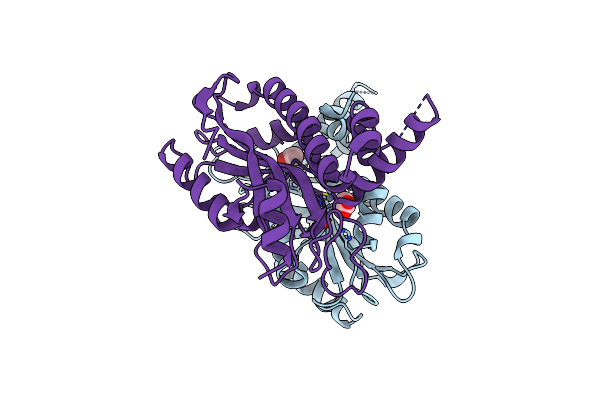 5B5Y image